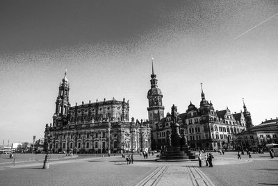 Dresden