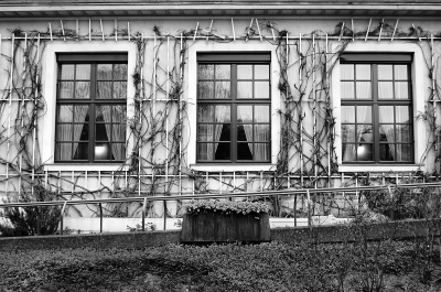 Leverkusen