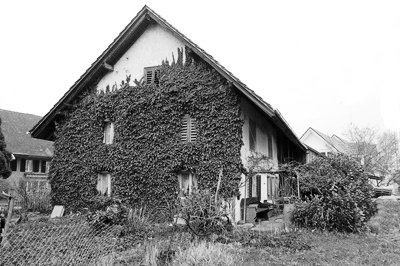 Wallenhorst