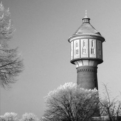 Lingen