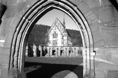 Calw