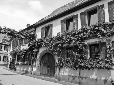 Haßloch