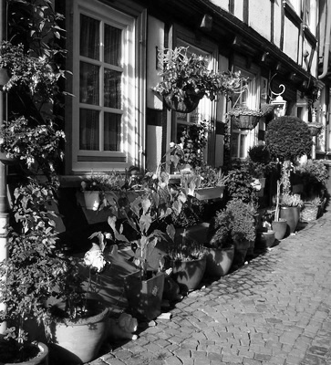 Pohlheim