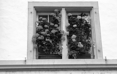 Rottweil