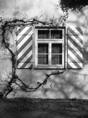 Limburgerhof
