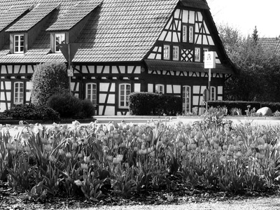 Warburg