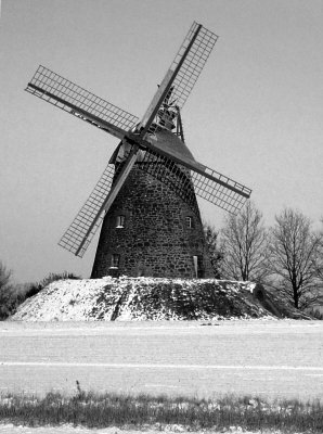 Hille