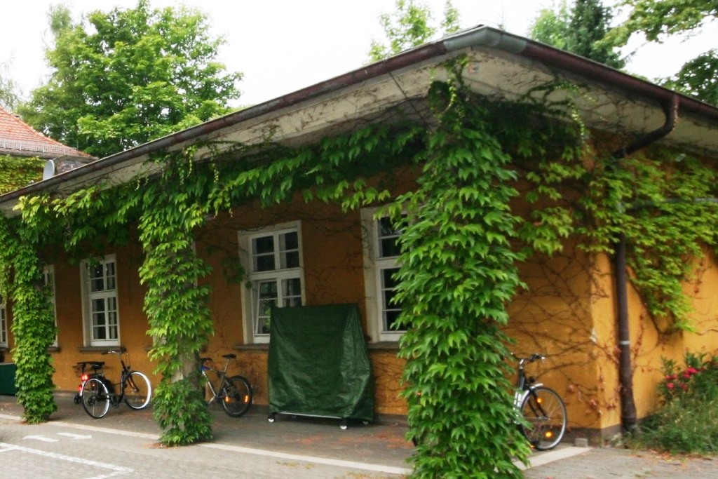 You are currently viewing Einzelhandel auf dem Dorf – kommt Tante Emma wieder?