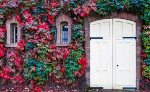 Mehr über den Artikel erfahren Immobiliengutachter Coswig (Anhalt)