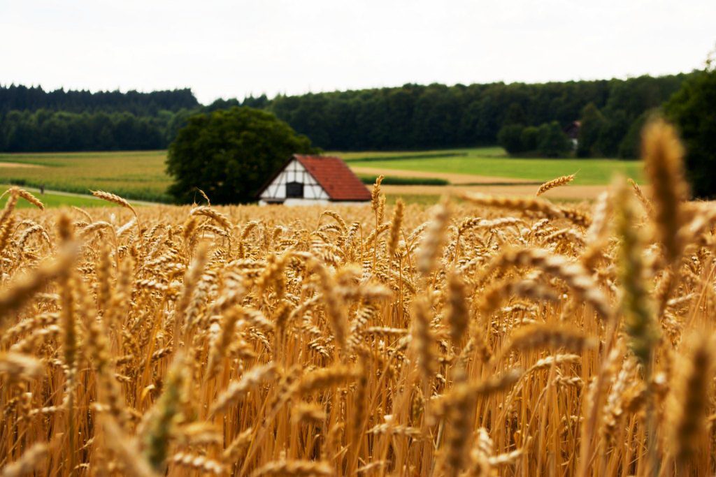 Immobilienbewertung im Landkreis Nordwestmecklenburg