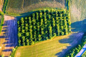 Immobilienbewertung Oberspreewald-Lausitz