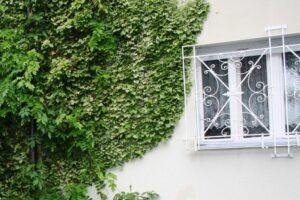 Mehr über den Artikel erfahren Immobilienbewertung im Rhein-Lahn-Kreis