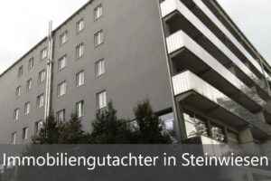 Mehr über den Artikel erfahren Immobiliengutachter Steinwiesen