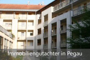 Read more about the article Immobiliengutachter Pegau