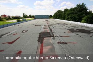 Immobiliengutachter Birkenau (Odenwald)